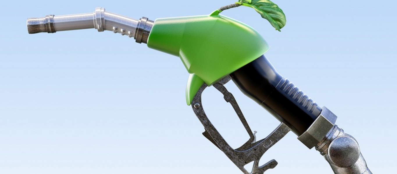 biofuel_for_web