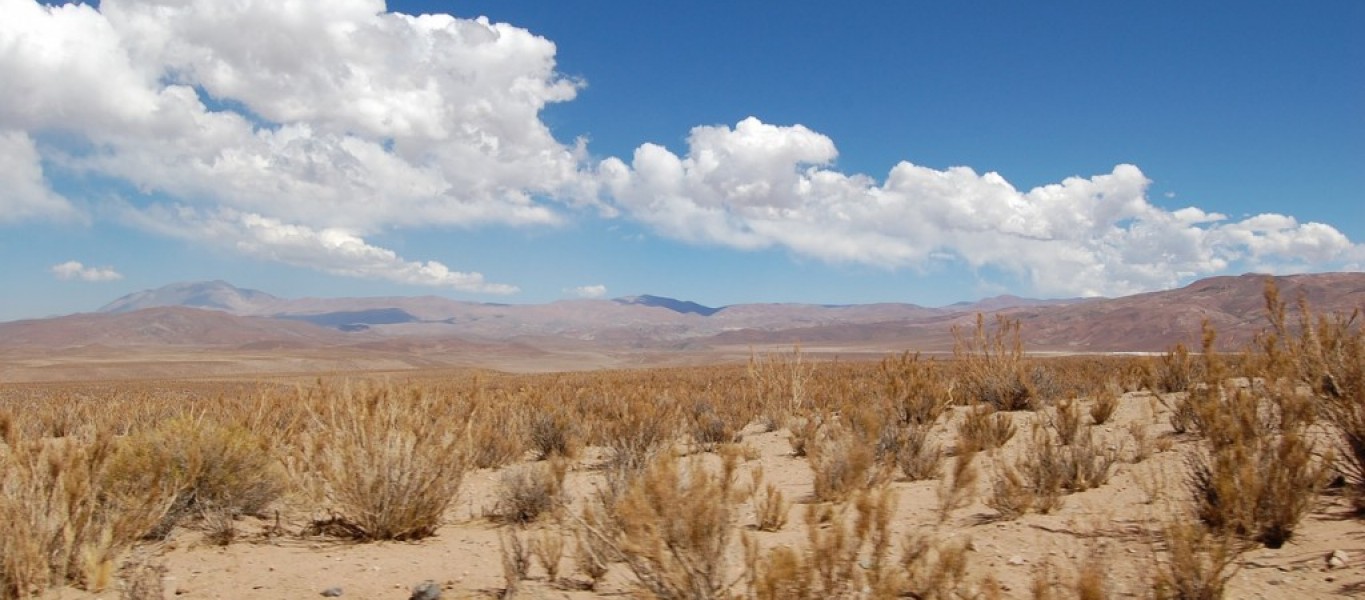Desierto de Atacama / Chile